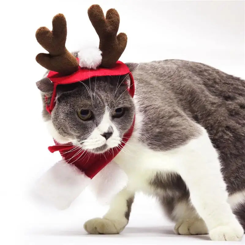 Christmas Dog Headbands Antlers Pet Supplies Dog Cat Deer Headband Decoration Teddy Dog Antlers Dog Gentleman Headdress