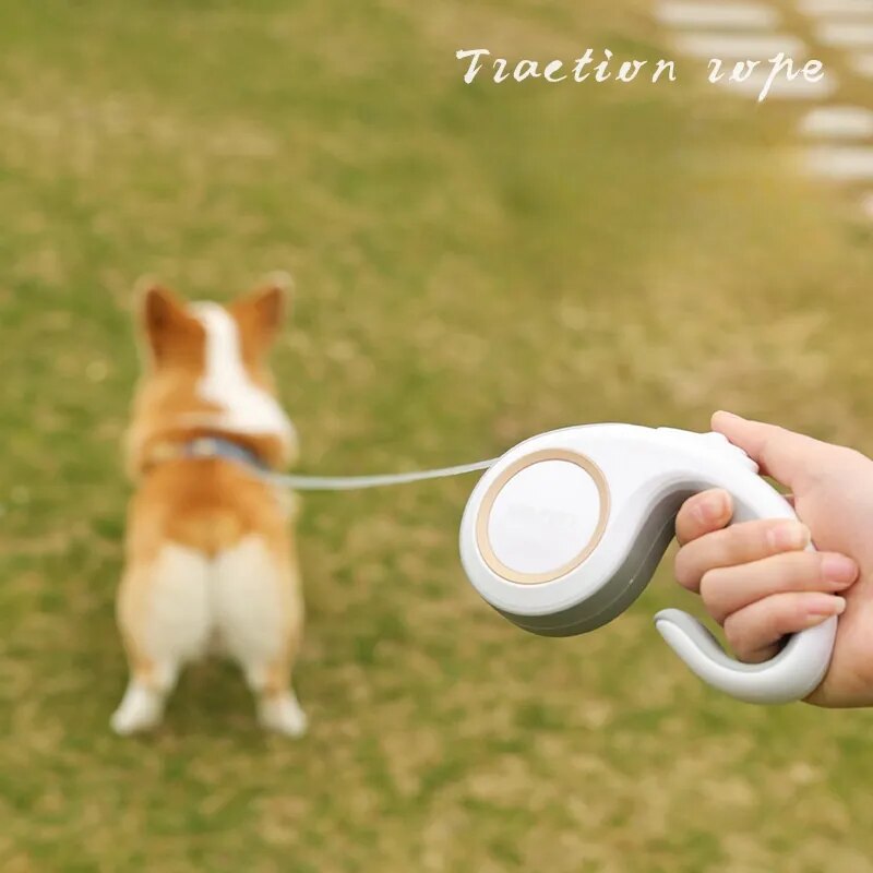 3M 5M Dog Retractable Traction Dog Leash Pet Cat Travel Walk Dog Shopping Automatic Flexible Small  Medium Dog Pet Products