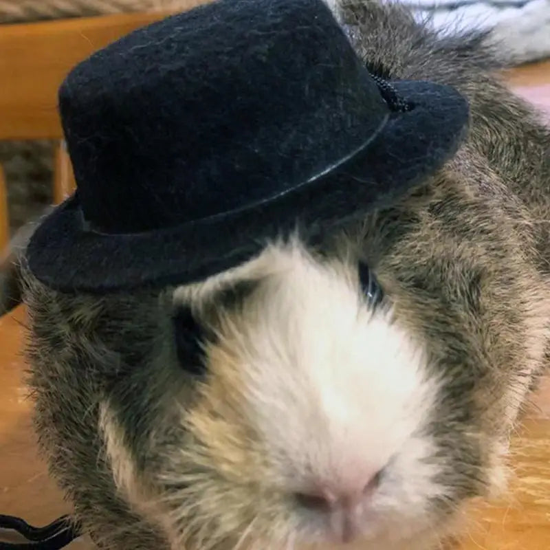 2 Colors Pets Hamster Top Hat Clothes Decor Felt Bow And Top Hat Soft Holiday Supplies Comfortable Adjustable Pet Costume