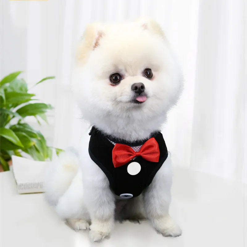 Elegant Bow Dog Collars Necktie Traction Rope Christmas Pet Harness for Small Medium Dogs Cat Chest Strap Dog Accessories